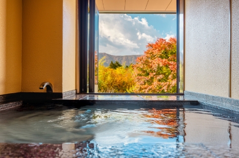 7室すべてが半露天風呂付き客室