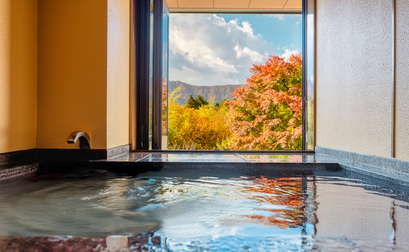 洋の快適さに癒される